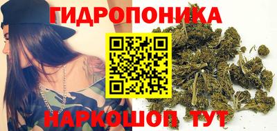 apvp Коммунар
