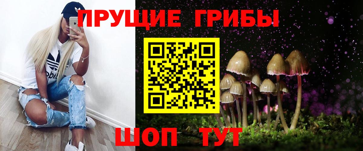 Галлюциногенные грибы Psilocybine cubensis Кинель
