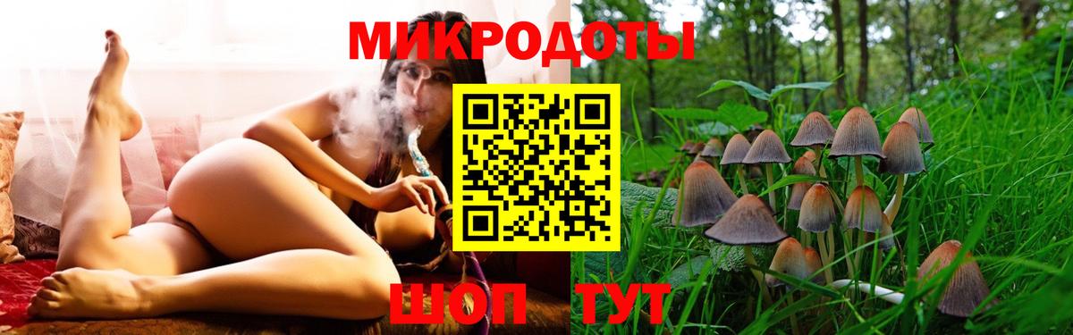Кинель  Псилоцибиновые грибы MAGIC MUSHROOMS  Вход с VPN 